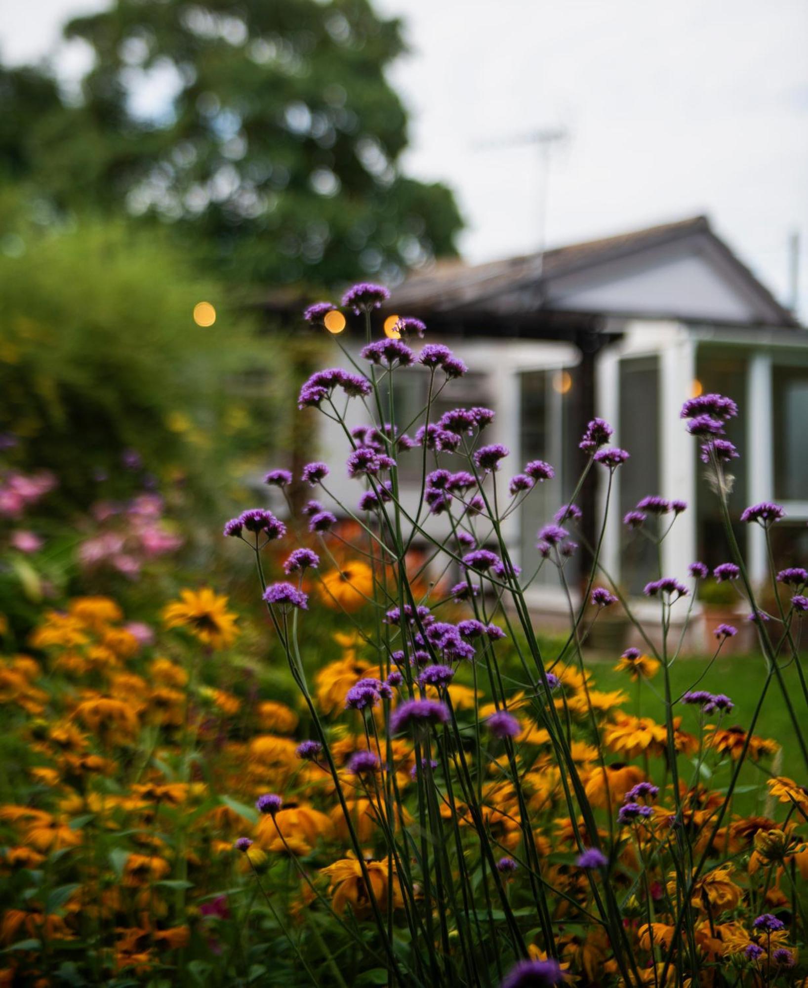 Peaceful, Country Setting In Suffolk, Near Coast Villa Halesworth Luaran gambar